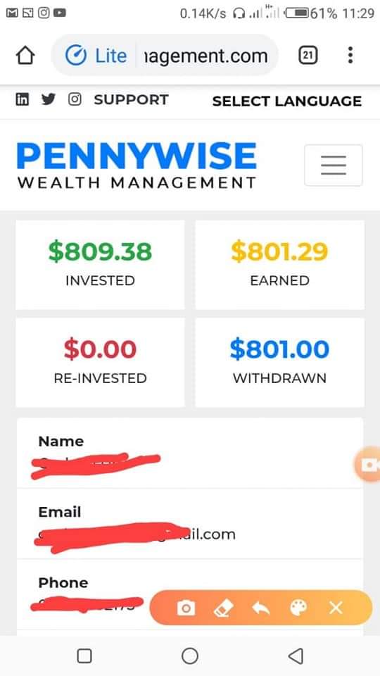 pennywise wealth management