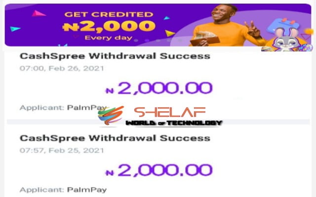 Make money Online Through Palmpay app
