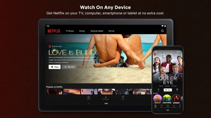 Download Netflix New v7.116.0 Premium