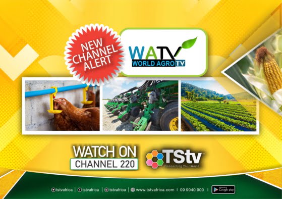 TStv new channels