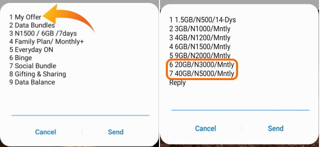 Airtel Data Offer