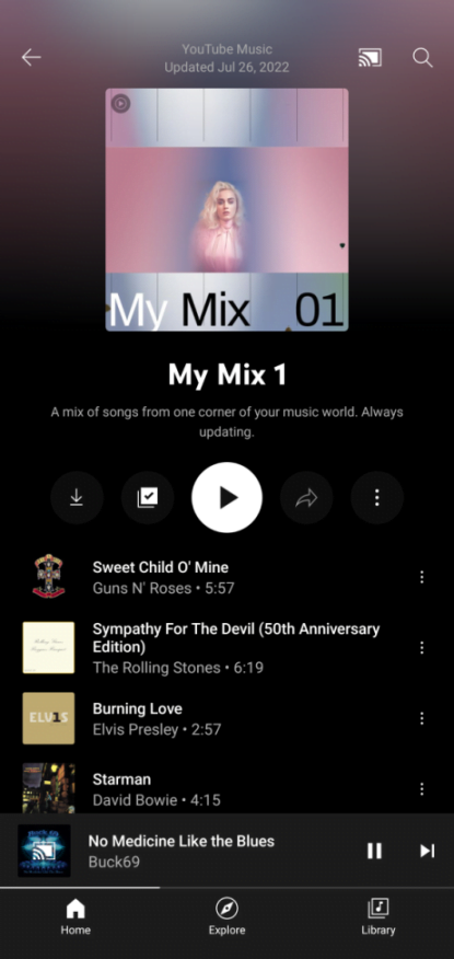 youtube music download feature