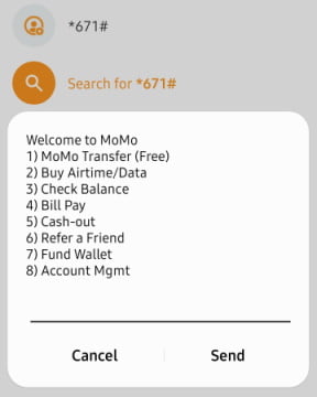 MTN Momo Wallet Services