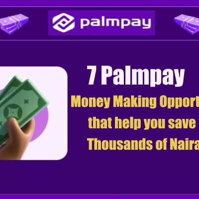 PalmPay Money Making Opportunities