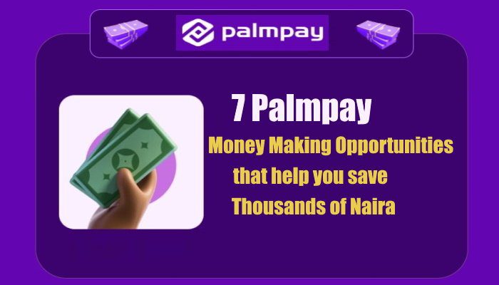 PalmPay Money Making Opportunities