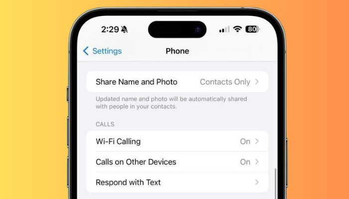  iOS 17.2 Beta 3 FaceTime Customization