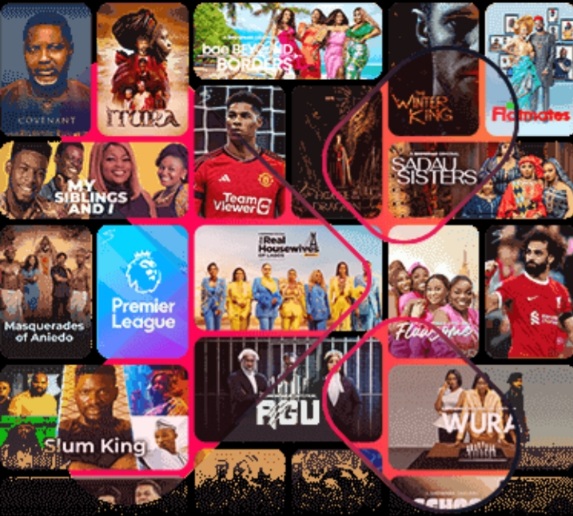best-African shows on Showmax 2.0