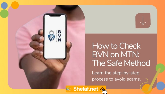 How to Check BVN on MTN