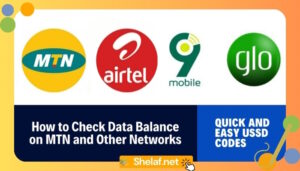 How to Check Data Balance on MTN and Other Networks