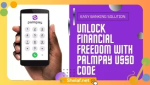 How to send money using Palmpay USSD code in Nigeria