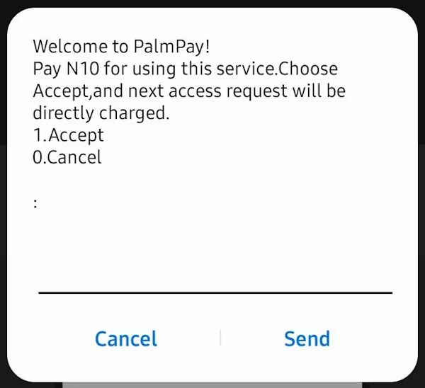 PalmPay USSD Code Transaction Fee