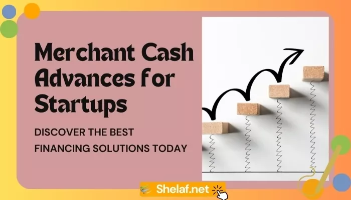 Merchant Cash Advance Blursoft for Startups